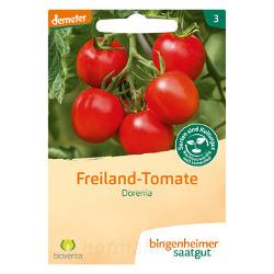 Freiland-Tomate Dorenia