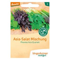 Asia-Salat Mischung
