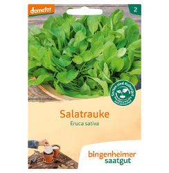 Salatrauke - Saatscheibe