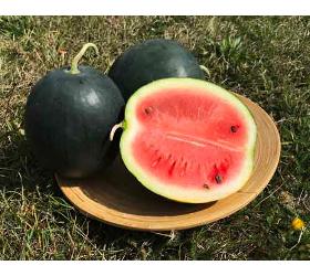 Wassermelone (Mahl.)
