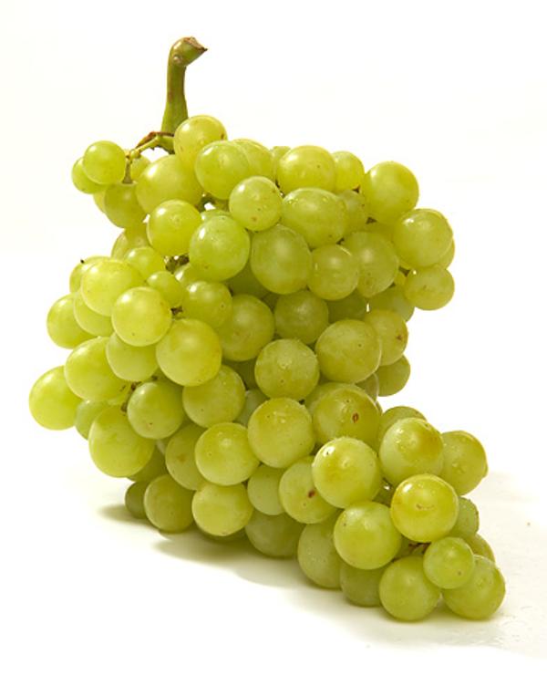 Produktfoto zu Weintrauben weiß kernlos
