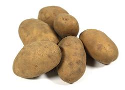 Kartoffeln mehlig