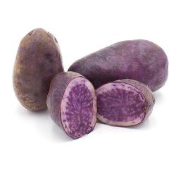 Kartoffeln violett