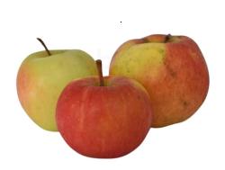Äpfelmischung