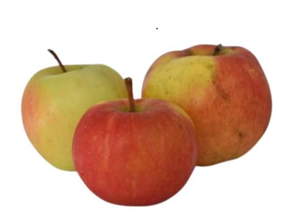 Produktfoto zu Äpfel 5kg