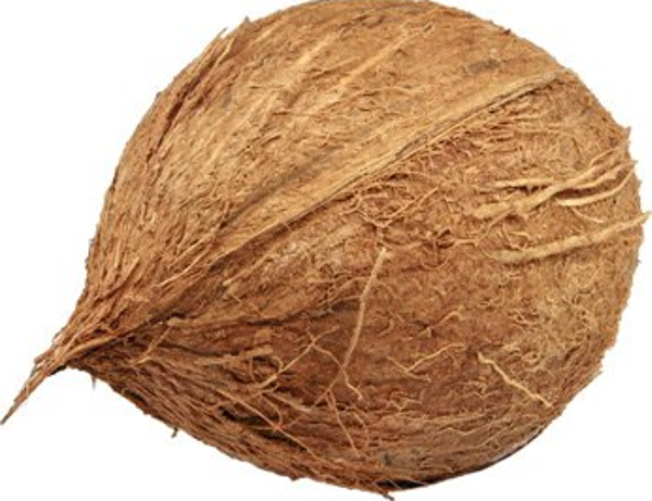 Produktfoto zu Kokosnuss