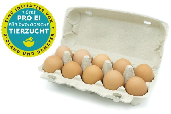 Produktfoto zu Eier 10 Stück