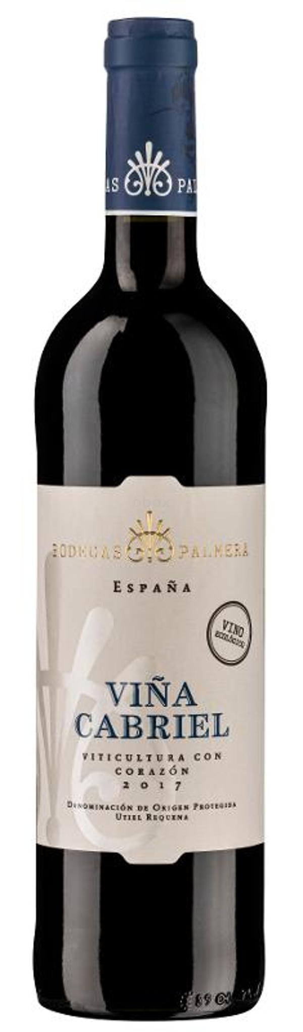 Produktfoto zu Rotwein Viña Cabriel