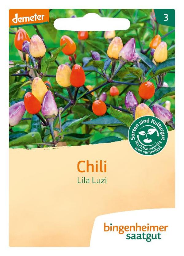 Produktfoto zu Saatgut Chili Lila Luzi