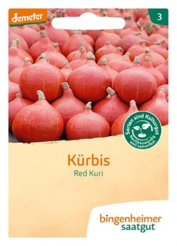 Produktfoto zu Saatgut Kürbis Red Kuri