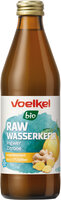 RAW Wasserkefir Zitrone Ingwer, kühlpflichtig