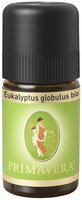 Eukalyptus globulus bio Ätherisches Öl