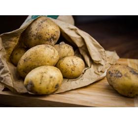 Kartoffeln, Salat  2 kg Neue Ernte