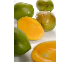 Mango, ca. 250 - 400 g