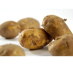 Ofen_Kartoffeln FK größe XL