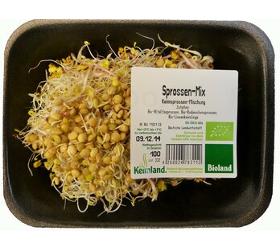 Sprossen-Salat 100g
