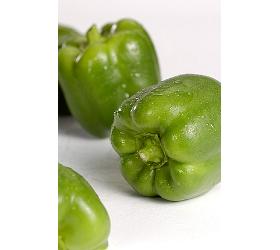 Paprika  grün