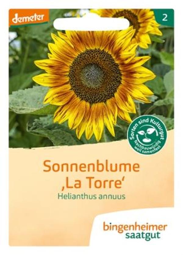 Produktfoto zu Sonnenblume "La Torre" 6g Bingenheimer Saatgut