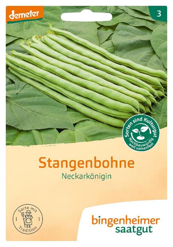 Produktfoto zu Saatgut Stangenbohne "Neckarkönigin" 20g Bingenheimer Saatgut