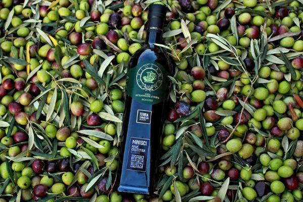 Produktfoto zu Olivenöl Coriolanum 0,75l Terra Famiglia