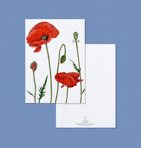 Produktfoto zu Postkarte Mohnblüte Aikona