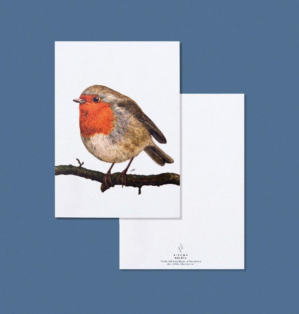 Produktfoto zu Postkarte "Rotkehlchen" Aikona Illustration