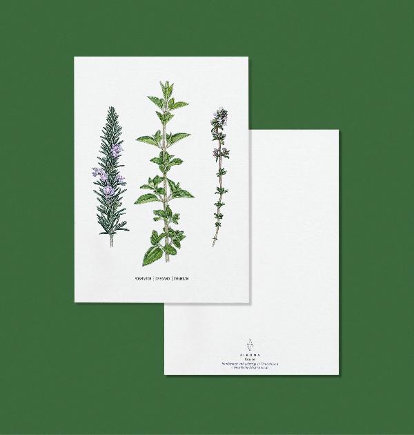 Produktfoto zu Postkarte "Kräuter" Aikona Illustration