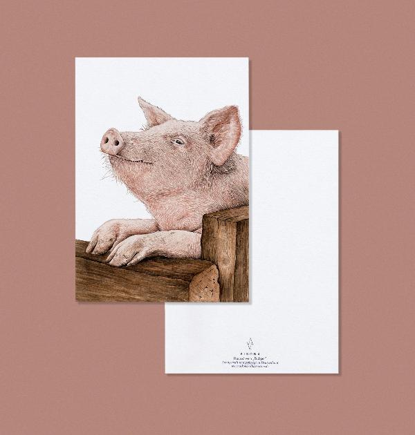 Produktfoto zu Postkarte "Hausschwein Rüdiger" Aikona Illustration