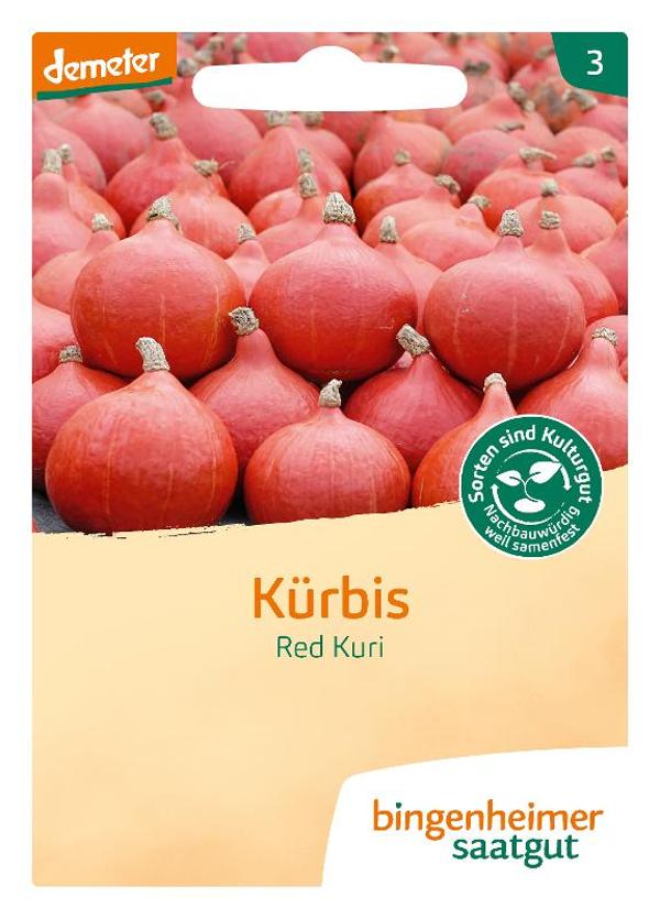 Produktfoto zu Saatgut Kürbis Hokkaido "Red Kuri" 5g Bingenheimer Saatgut
