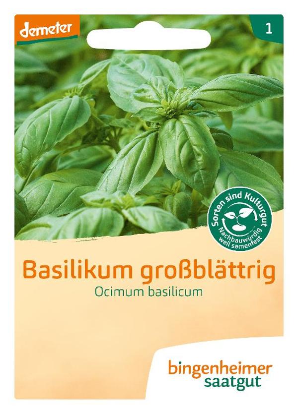 Produktfoto zu Basilikum großblättrig "Ocimum Basilicum" 5g Bingenheimer Saatgut