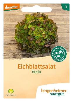 Eichblattsalat Bjella Bingenheimer Saatgut