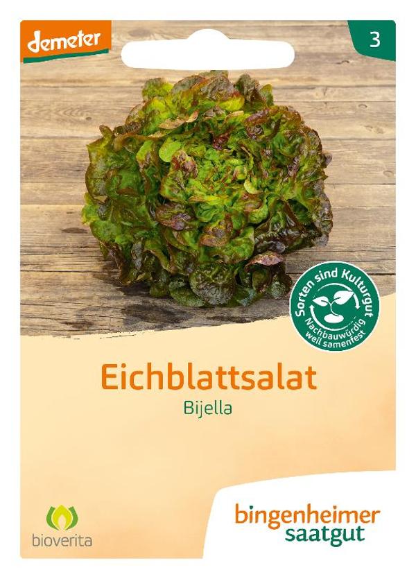 Produktfoto zu Eichblattsalat Bjella Bingenheimer Saatgut