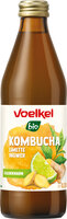Kombucha Limette Ingwer