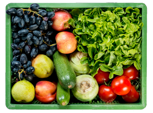 Obst-Gemüse-Kiste groß