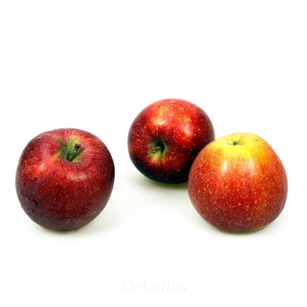 Produktfoto zu Kiste: Apfel, Natyra 8kg