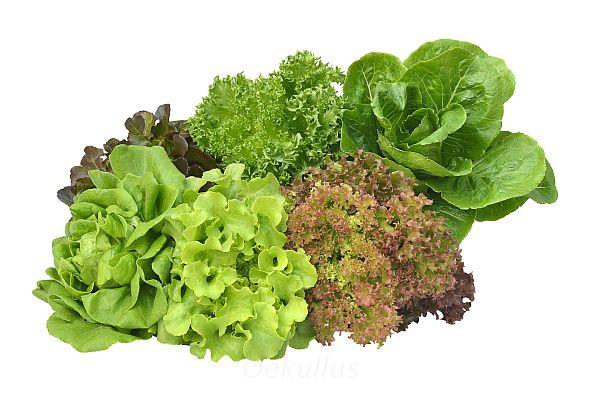 Produktfoto zu Salate Mix