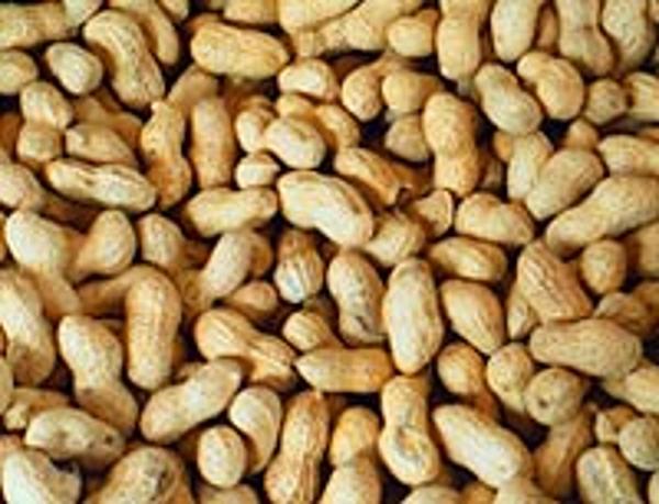Produktfoto zu Erdnüsse in der Schale 330g