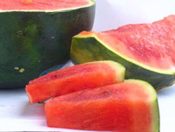 Produktfoto zu Wassermelone mini