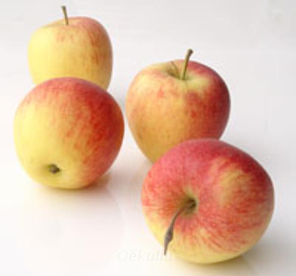 Produktfoto zu Apfel, Pinova