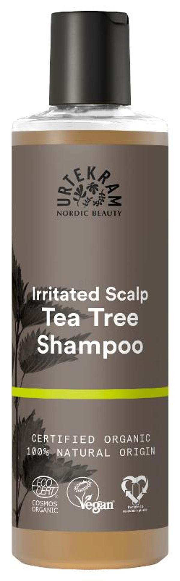 Produktfoto zu Teebaum Shampoo