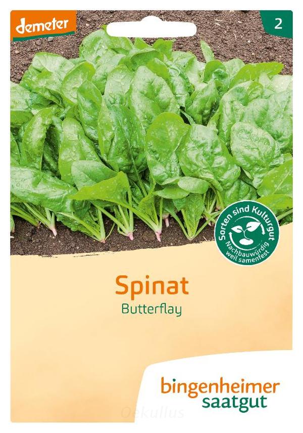 Produktfoto zu Spinat "Butterflay" (Saatgut)