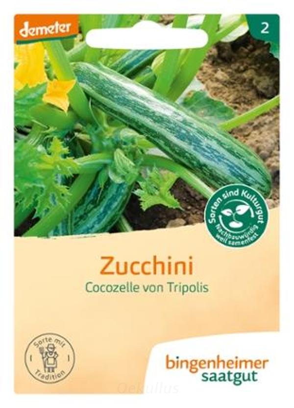 Produktfoto zu Zucchini "Cocozelle" (Saatgut)