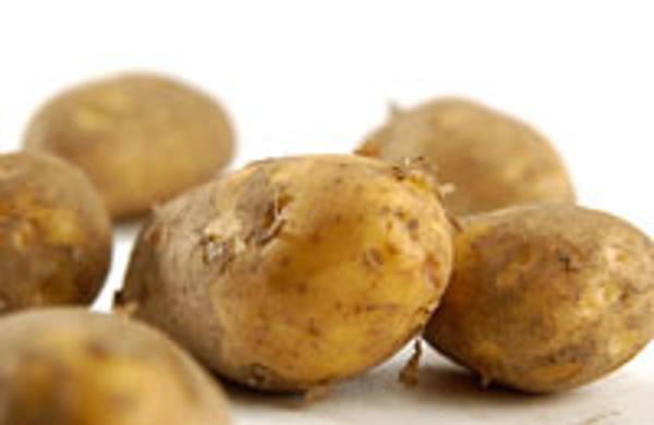 Produktfoto zu Frühkartoffeln 1kg