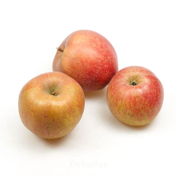 Produktfoto zu Kiste: Apfel, Boskoop 8kg