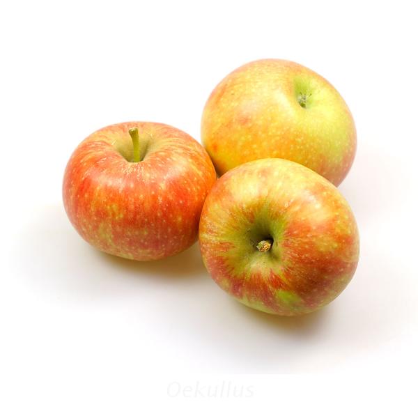 Produktfoto zu Kiste: Apfel, Elstar 8kg