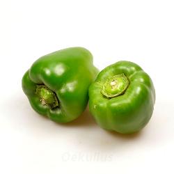 Kiste: Paprika grün 5kg