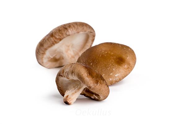 Produktfoto zu Shii-Take Pilze