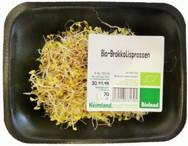 Produktfoto zu Brokkolisprossen