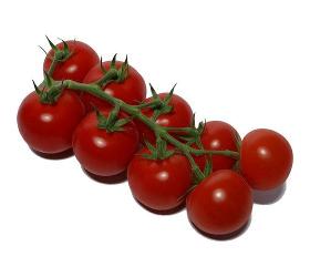 Tomaten Cherry Honig Strauch