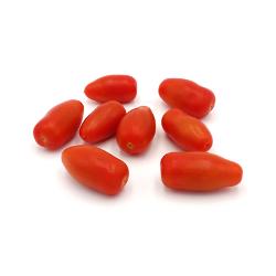 Flaschentomate San Marzano